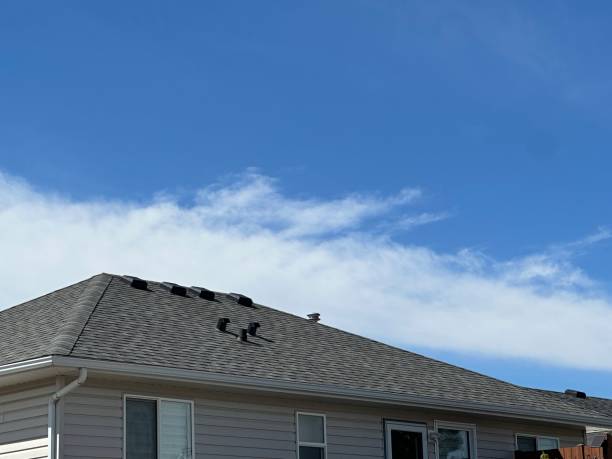 Best Gutter Installation and Repair  in Cudjoe Key, FL